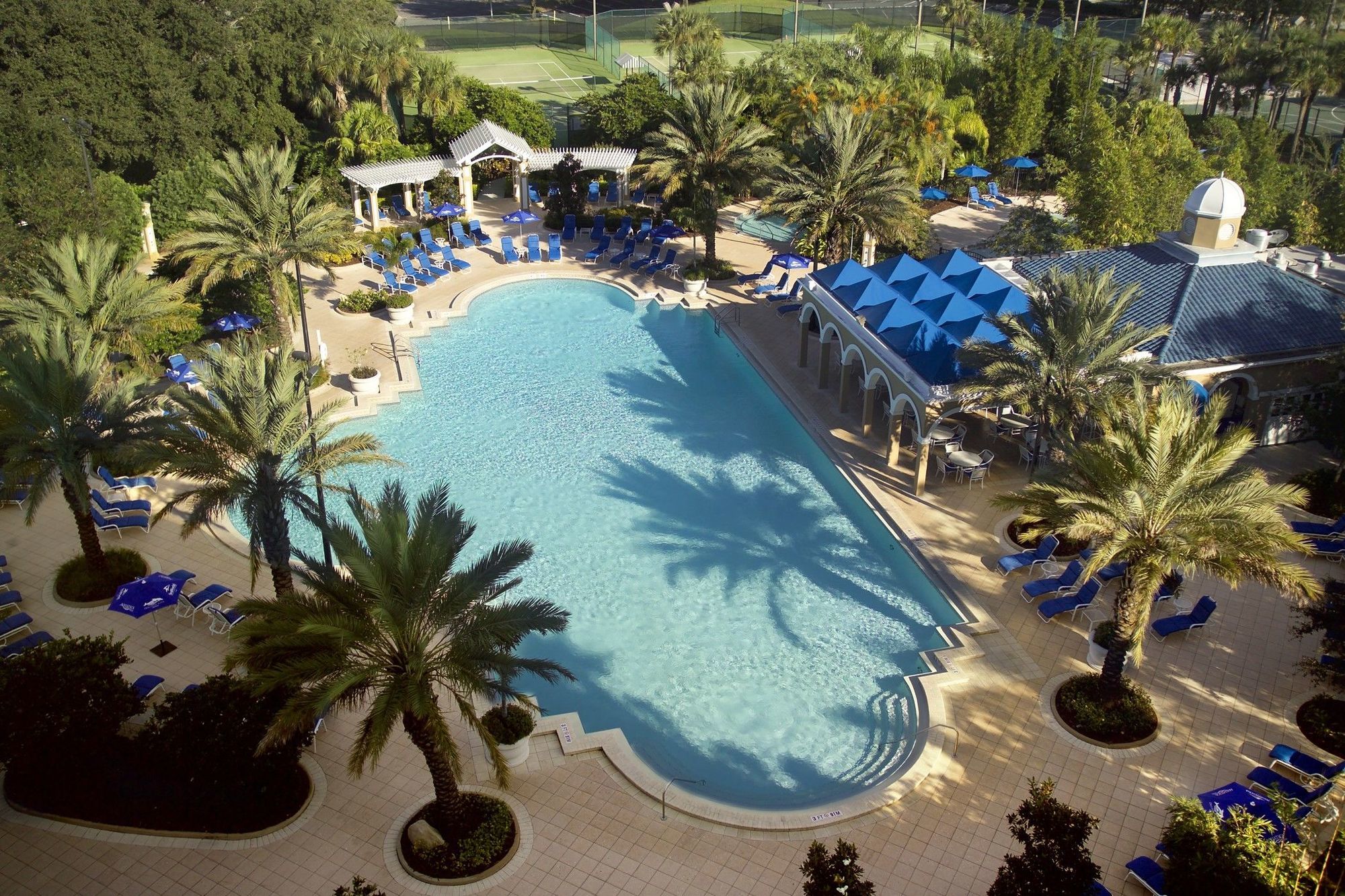 Renaissance Orlando At Seaworld Hotell Williamsburg Bekvämligheter bild